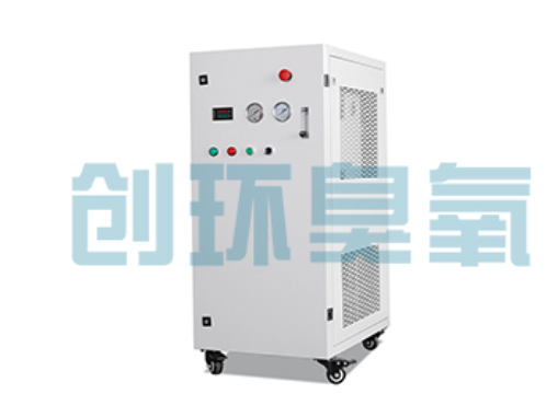 阳泉石斑鱼养殖水质调控完整指南:臭氧发生器配置与操作步骤