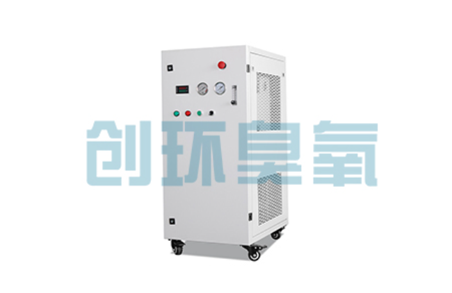 阳泉比传统换水更高效?臭氧发生器在石斑鱼养殖中的水质净化原理解析